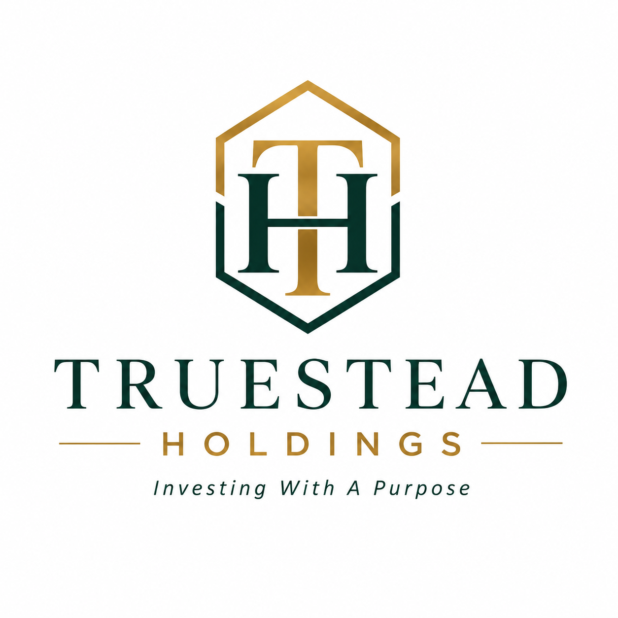 TrueStead Holdings L:LC